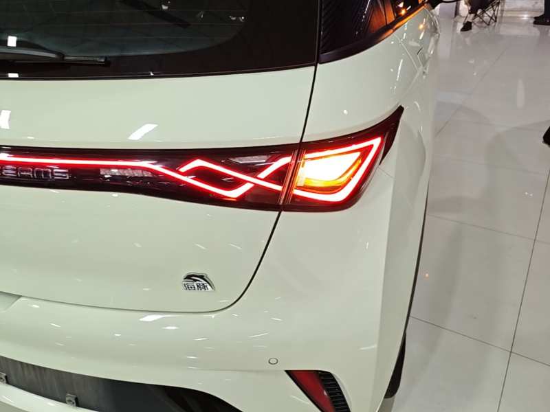Used BYD Dolphin 2023 420 km Fashion Edition — 7