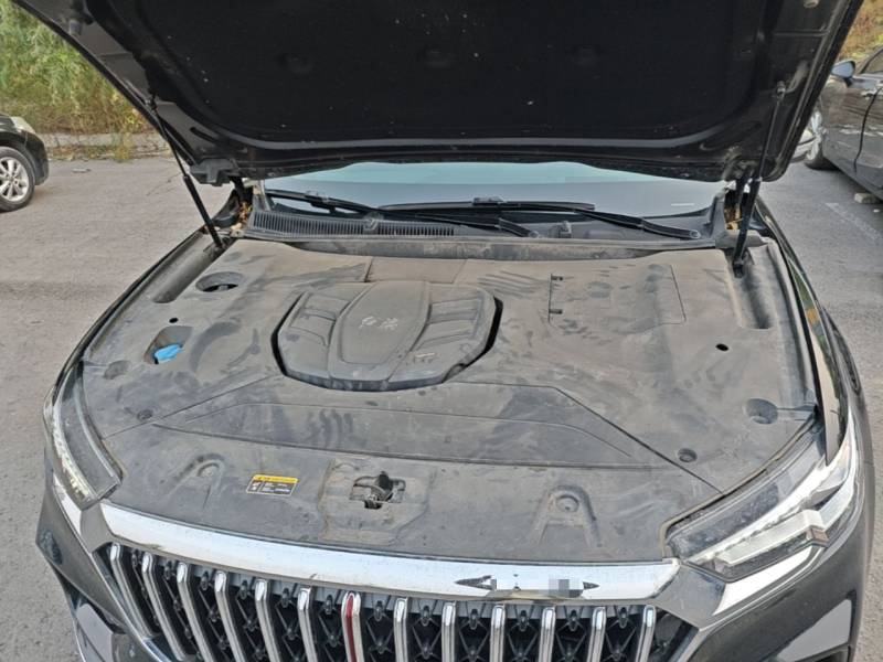Used Hongqi HS5 2022 Facelifted Version 2.0T Smart Connect Flagship All-Wheel-Drive Edition — 19