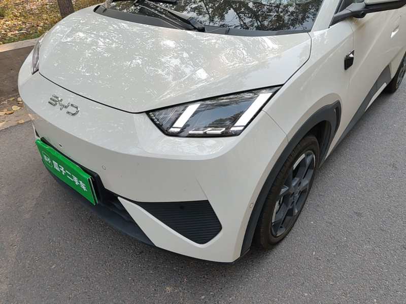 Used BYD Seagull 2025 Smart Drive Version 305 km Freedom Edition — 23