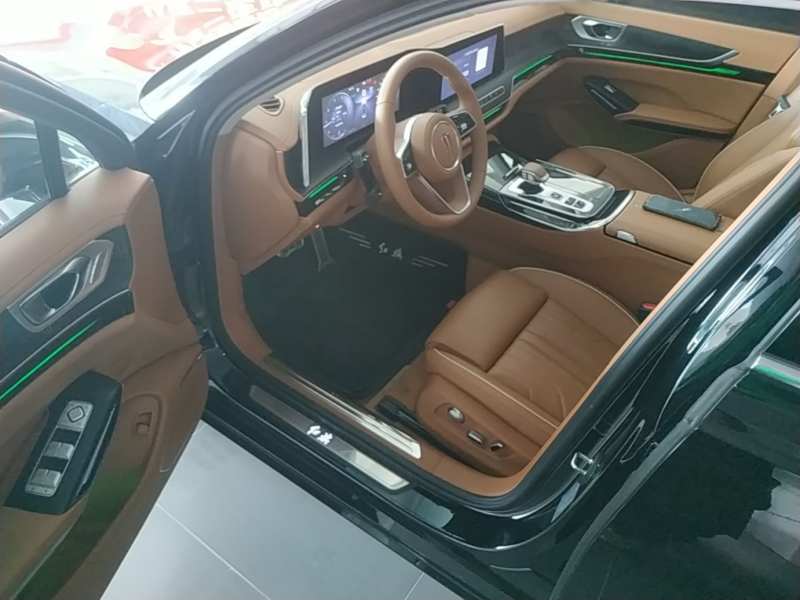 Used Hongqi H9 2025 2.0T Two-Wheel-Drive Flagship Luxury Business Edition 5 Seats — 15