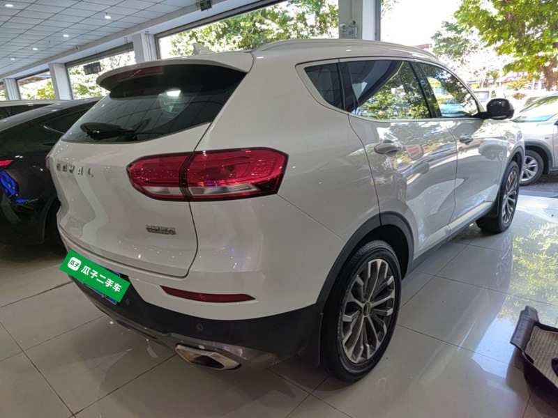 Used Haval H6 2020 1.5 GDIT Automatic Platinum Luxury Edition — 6