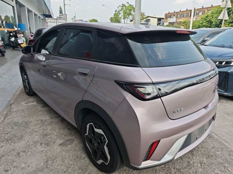 Used BYD Dolphin 2021 405 km Fashion Edition — 4