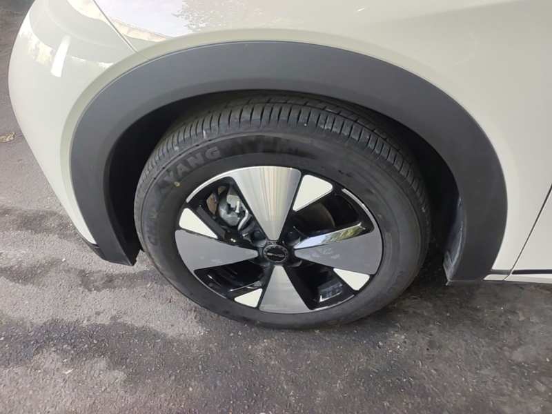 Used BYD Dolphin 2023 420 km Fashion Edition — 22