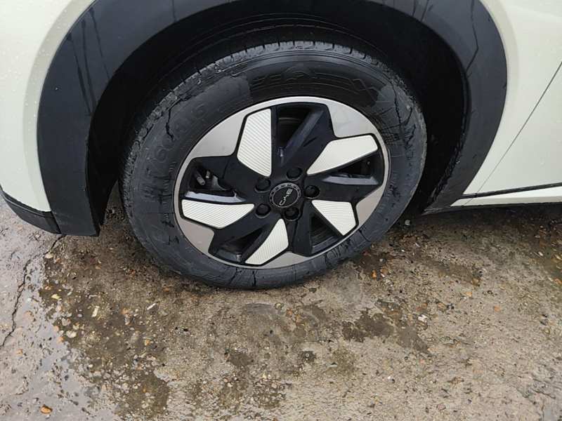 Used BYD Dolphin 2025 420km Free Edition — 22