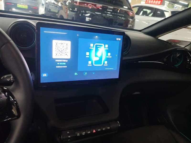 Used BYD Dolphin 2025 520km Range Knight Edition — 12