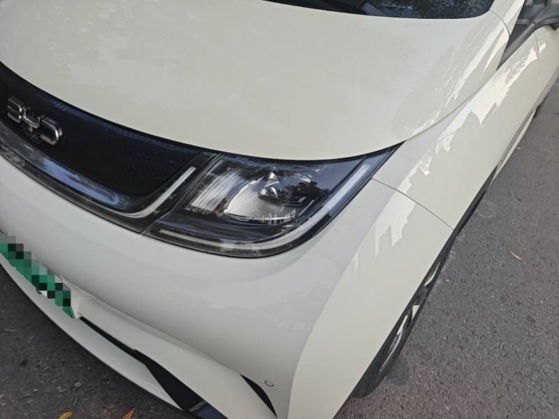 Used BYD Dolphin 2025 420km Fashion Edition — 23