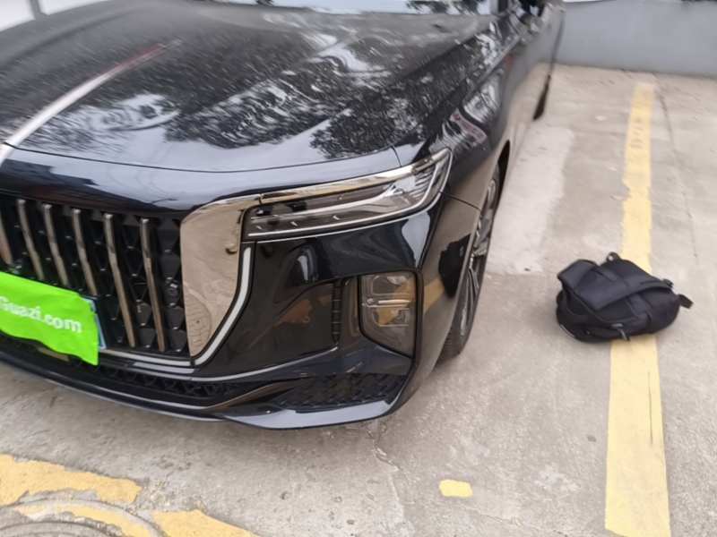 Used Hongqi H9 2024 2.0T Qichang Private Enjoyment Luxury Edition — 23
