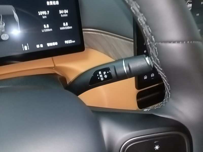 Used Wey Gaoshan 2025 Model Four-Wheel Drive Gao Shan 7 — 13