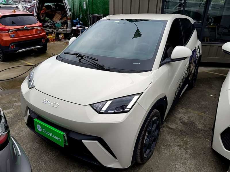 Used BYD Seagull 2024 Honor Edition 305km Freedom Version — 1