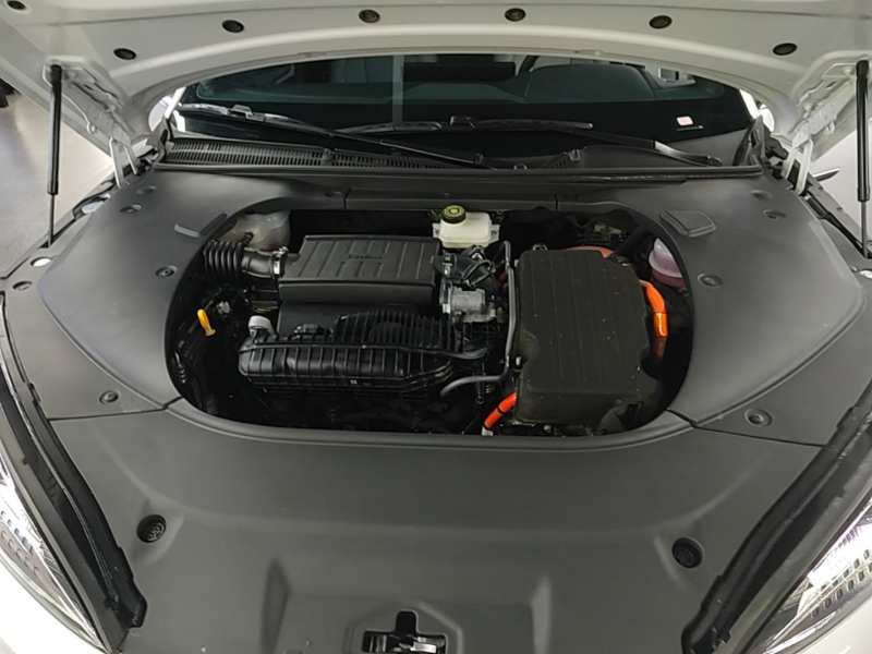 Used BYD Seal 2024 HONOR Edition DM-i 1.5L 121km Luxury Model — 19