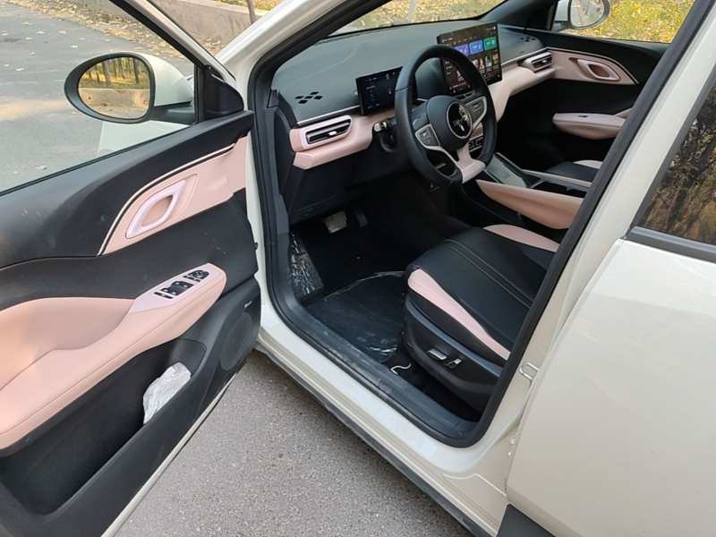 Used BYD Seagull 2025 Smart Drive Version 305 km Freedom Edition — 15