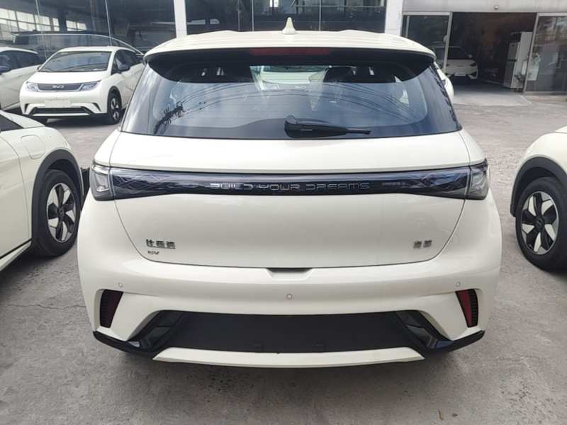 Used BYD Dolphin 2025 420km Free Edition — 5