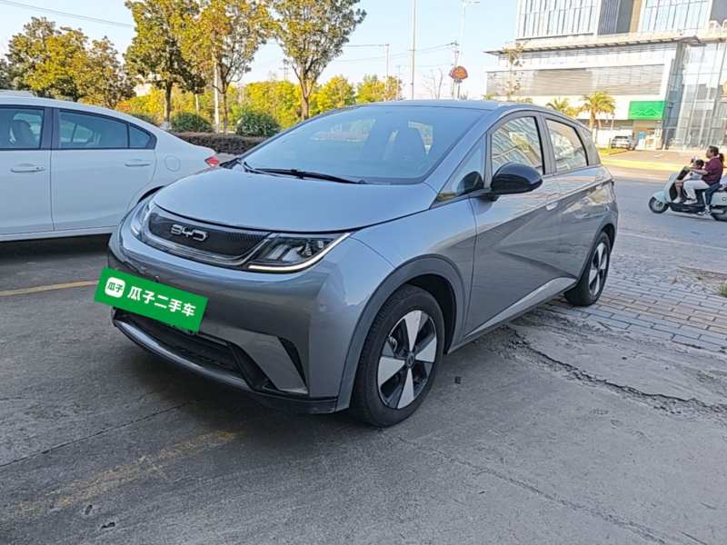 Used BYD Dolphin 2023 420 km Free Version