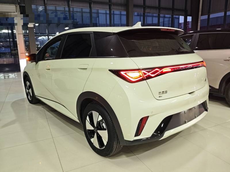 Used BYD Dolphin 2023 420 km Fashion Edition — 4