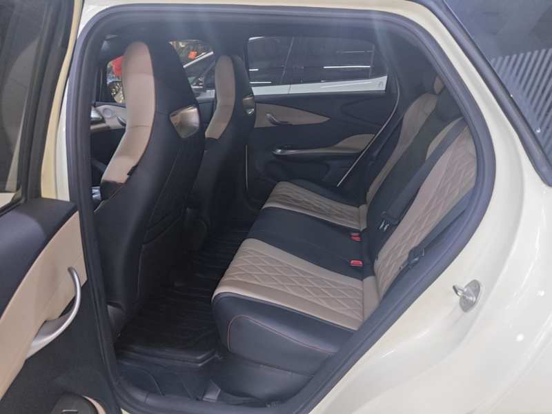 Used BYD Dolphin 2021 405 km Fashion Edition — 16