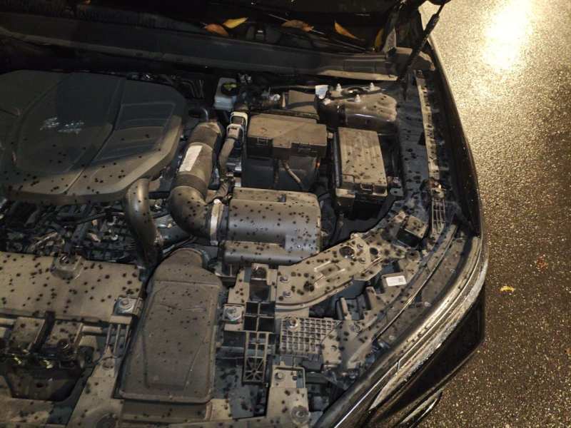 Used Hongqi HS5 2023 2.0T Qixiang Pro Edition — 22