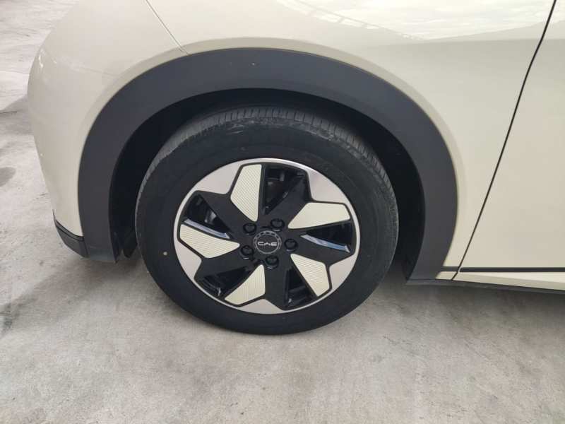 Used BYD Dolphin 2024 Honor Edition 420km Fashion Version — 22
