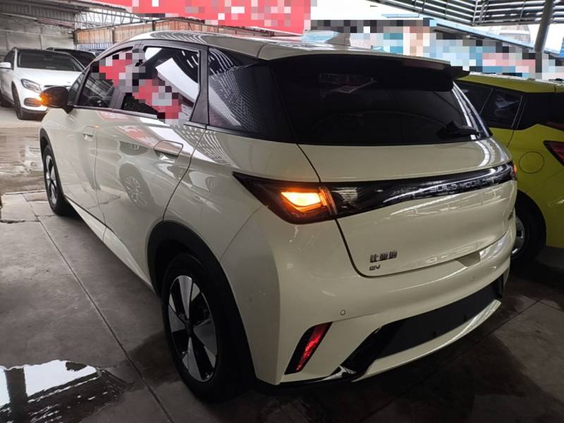 Used BYD Dolphin 2023 420 km Fashion Edition — 4