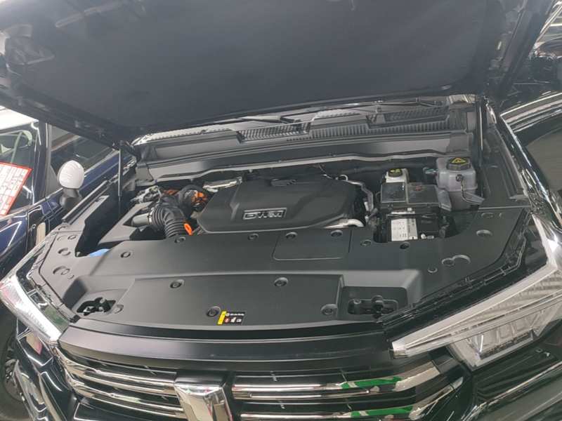 Used Tank 400 New Energy 2024 Hi4-T City Edition — 19
