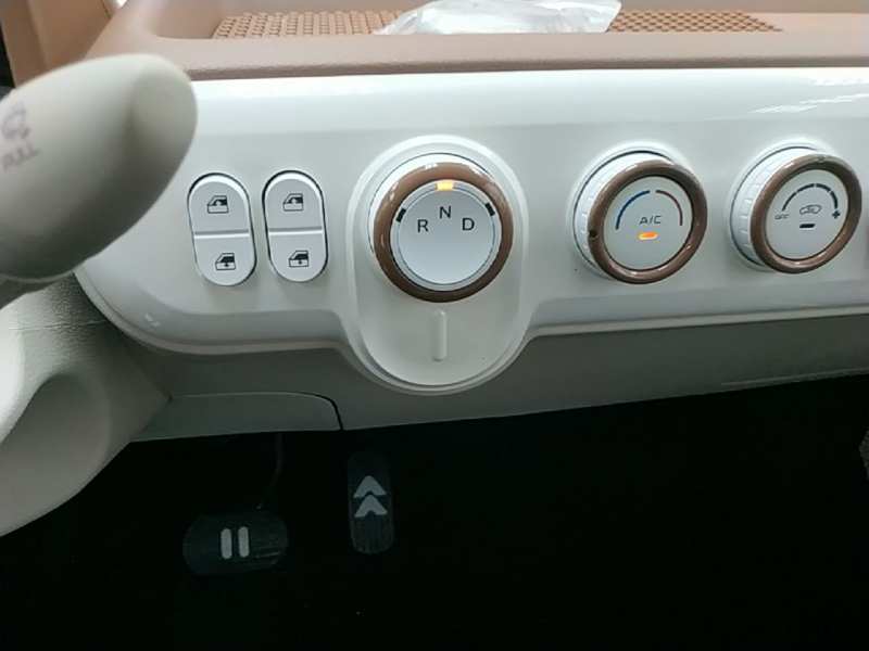 Used Bestune Pony 2026 222km Colorful Horse — 13