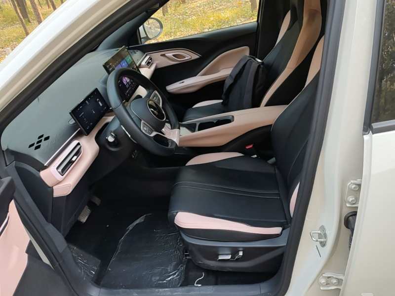 Used BYD Seagull 2025 Smart Drive Version 305 km Freedom Edition — 14