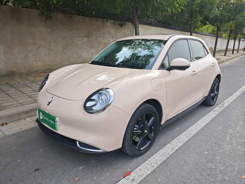 Used ORA Good Cat 2024 401 km Luxury Version