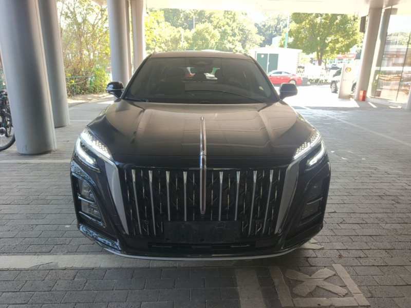 Used Hongqi HS3 PHEV 2025 Model 125km Jingwei 2 Millionth Anniversary Edition — 2