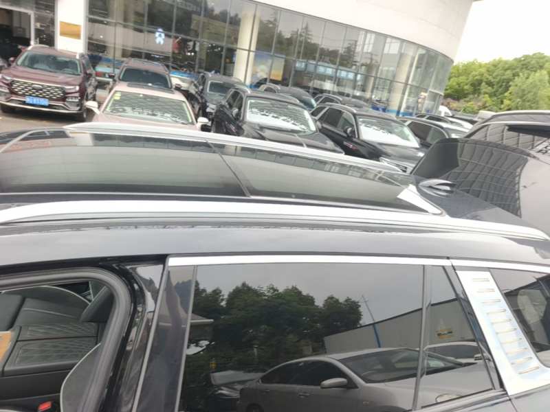 Used Hongqi E-HS9 2021 460 km Range Flagship Edition Six-Seater — 26