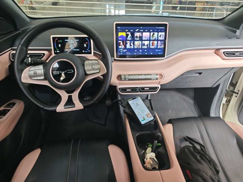 Used BYD Seagull 2023 Free Edition — 9
