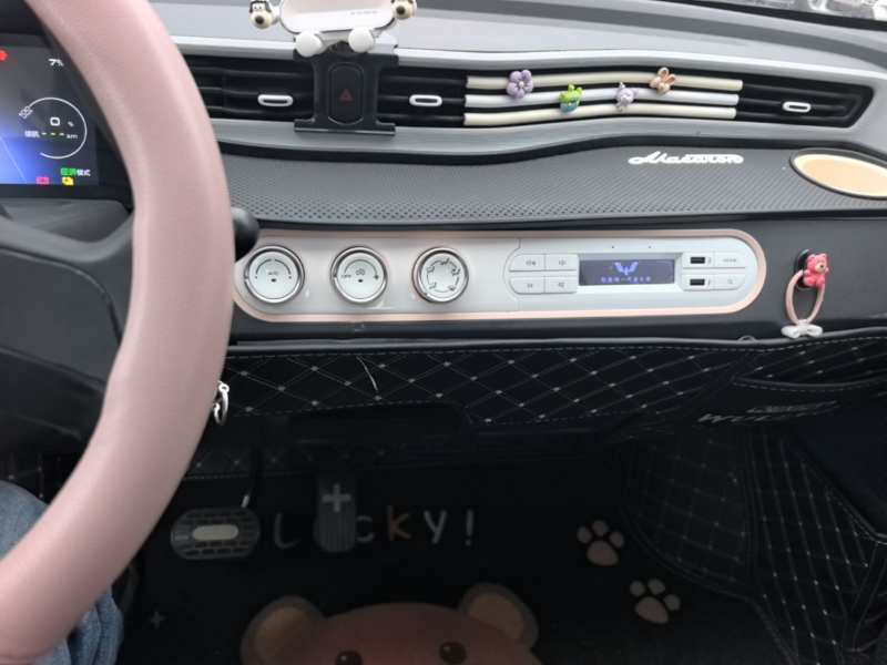 Used Wuling Hongguang MINIEV 2022 Enjoy Edition Lithium Iron Phosphate — 12