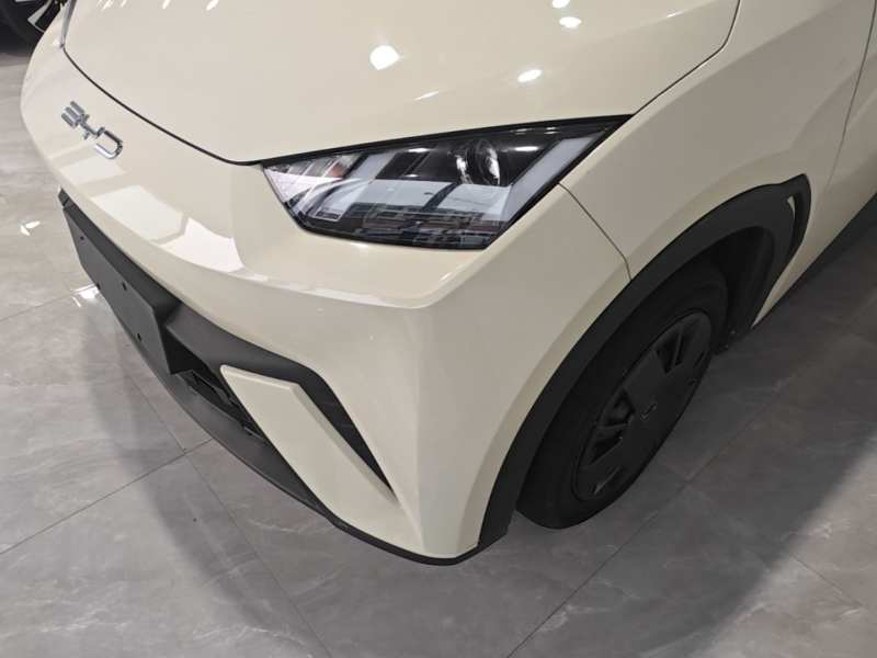 Used BYD Seagull 2023 Active Version — 23