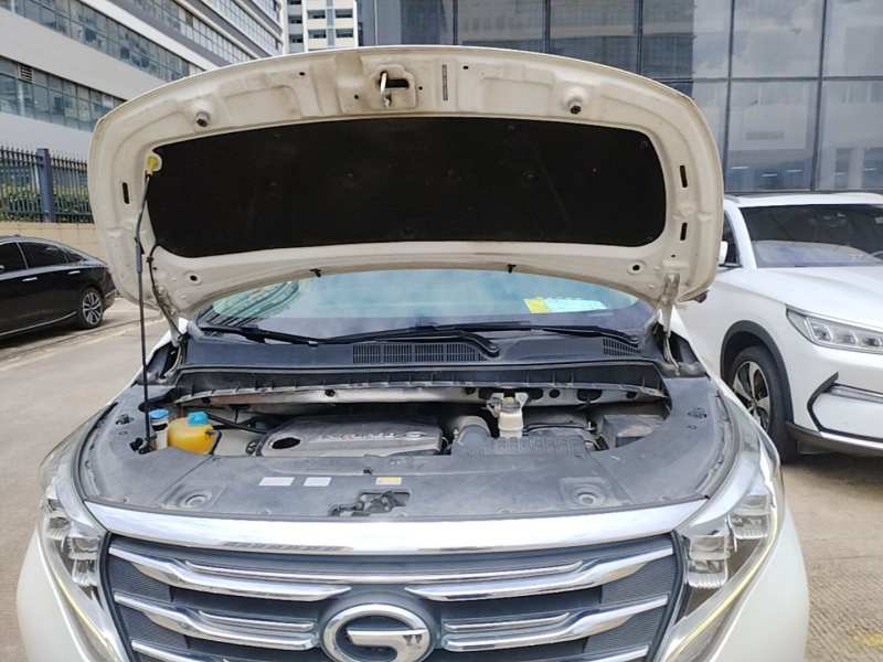 Used GAC Trumpchi M8 2019 320T Ultimate Edition — 19