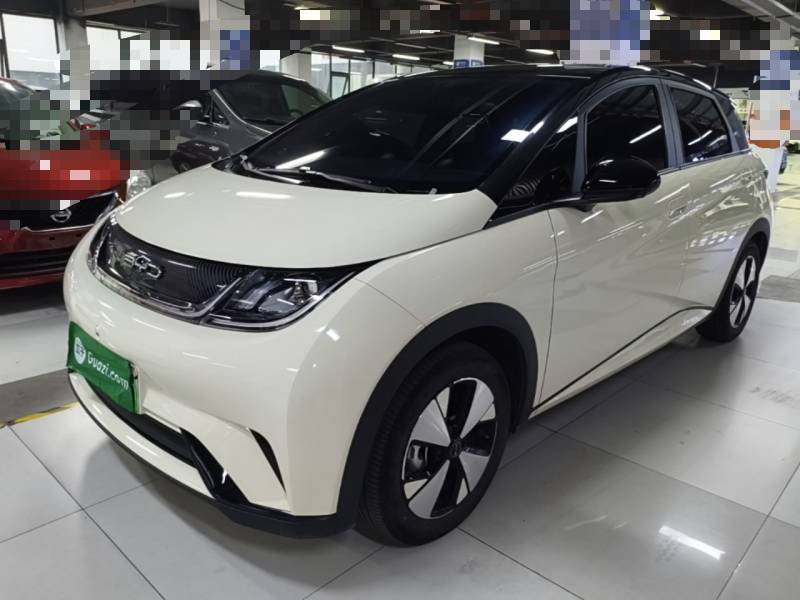 Used BYD Dolphin 2023 420 km Free Version — 1