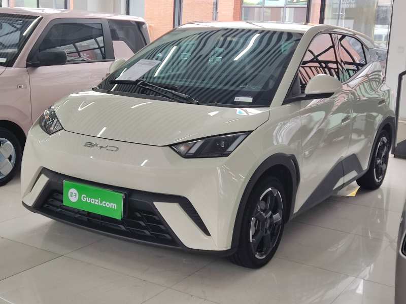 Used BYD Seagull 2023 Flying Edition — 1