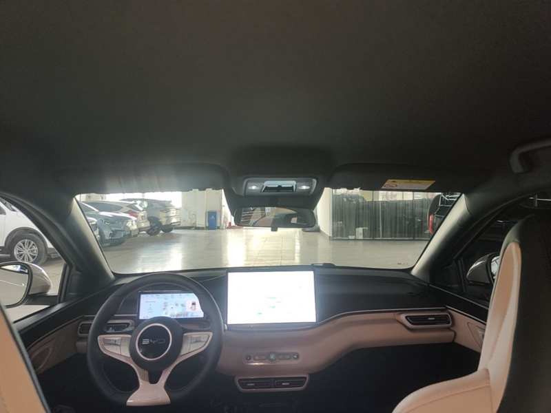 Used BYD Seagull 2025 Smart Drive Version 305 km Freedom Edition — 17