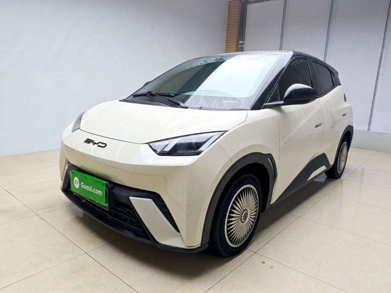 Used BYD Seagull 2024 Honor Edition 305km Dynamic Version — 1