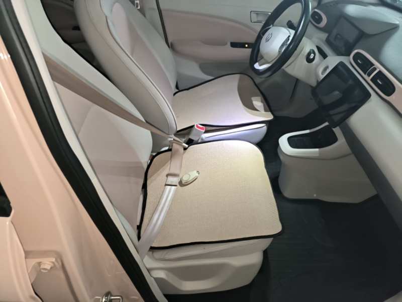 Used Leapmotor T03 2023 310 Lite Edition — 24