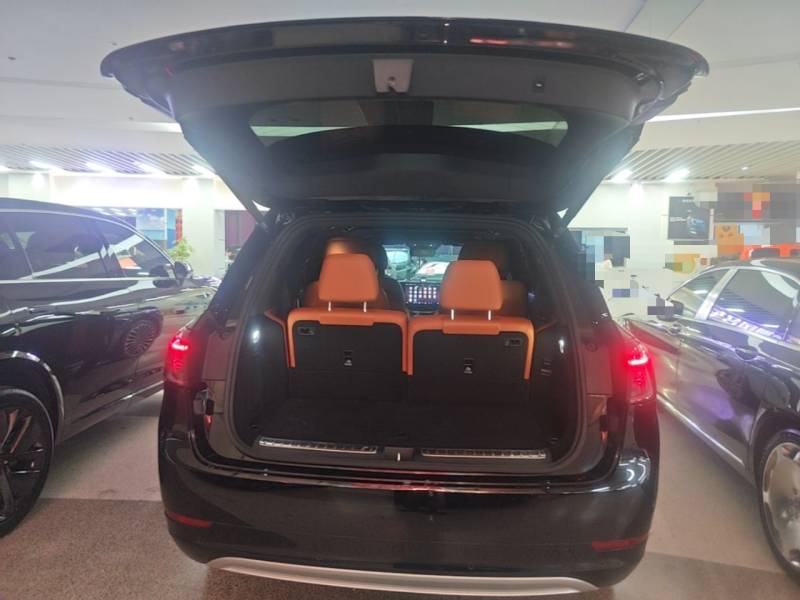 Used AITO/LUXEED/MAEXTRO/SAIC/STELATO AITO M9 2024 Range-Extended Max Edition 52 kWh 6-Seater Version — 19