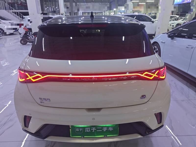 Used BYD Dolphin 2021 405 km Fashion Edition — 5