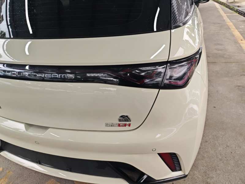 Used BYD Dolphin 2021 405 km Fashion Edition — 7