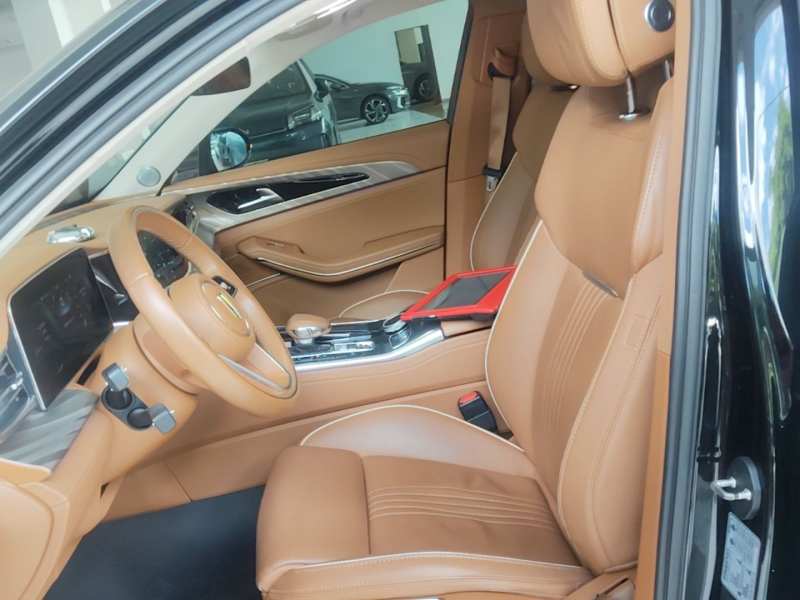 Used Hongqi H9 2022 2.0T Smart Connect Flagship Edition – Chinese Trim Xiang — 14