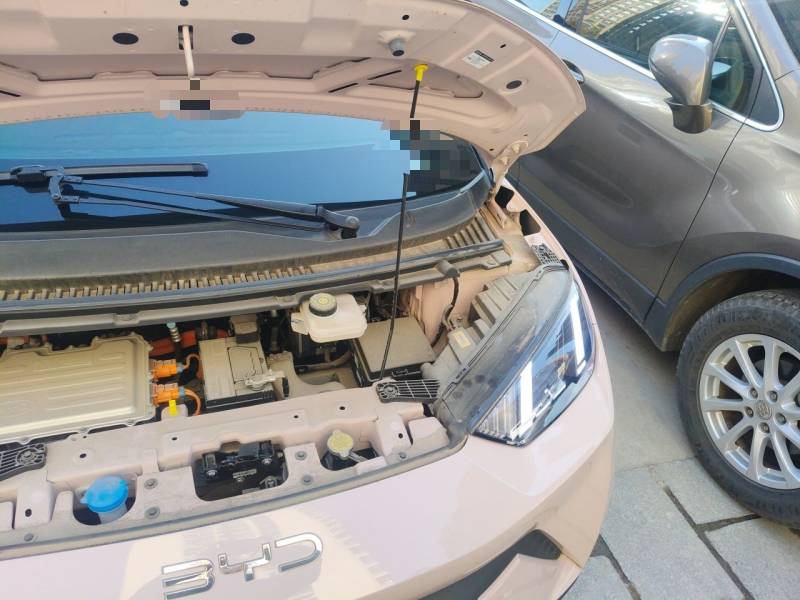 Used BYD Seagull 2024 Honor Edition 305km Freedom Version — 23