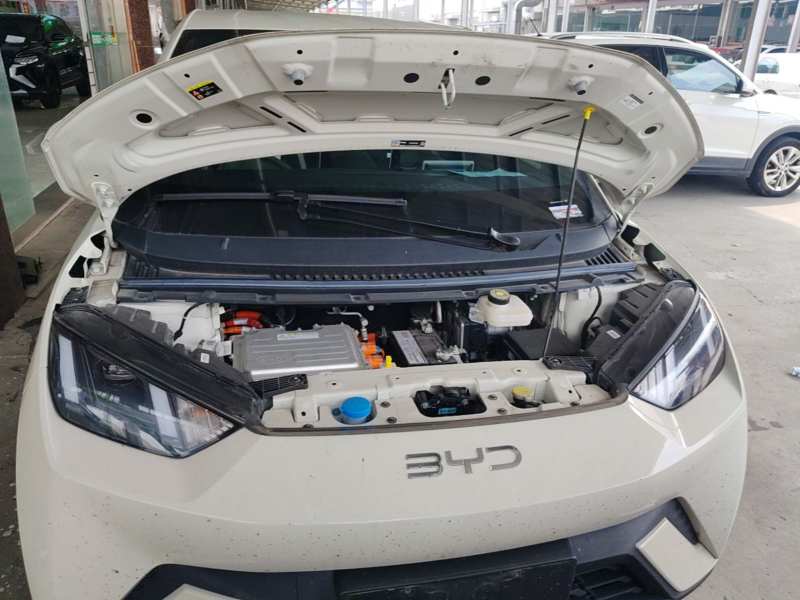 Used BYD Seagull 2025 305 km Free Version — 19
