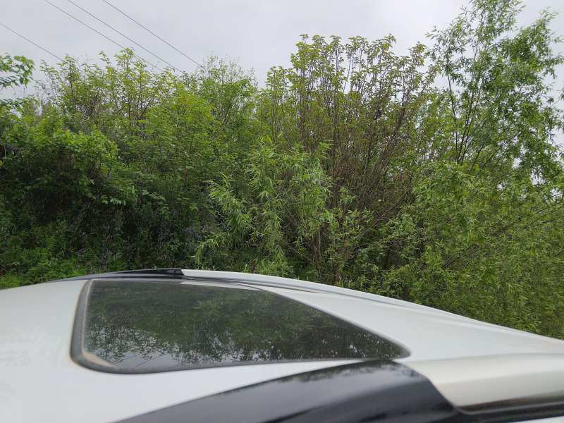 Used Haval H6 2018 Red-Label Sport Edition 1.5T Automatic Two-Wheel Drive Elite Model — 26