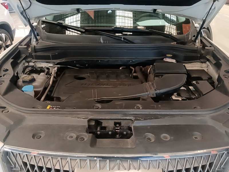 Used Haval H6 2021 1.5T Automatic Champion Edition — 19