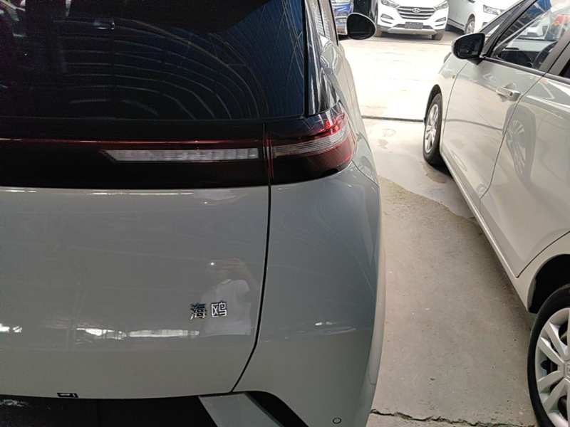 Used BYD Seagull 2025 305 km Free Version — 7