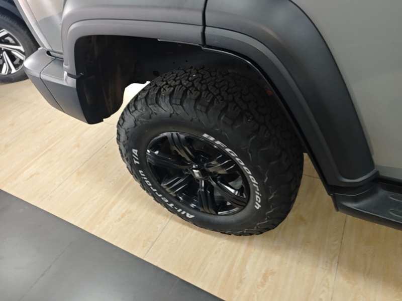 Used Tank 300 2021 Off-Road Edition 2.0T Challenger — 25
