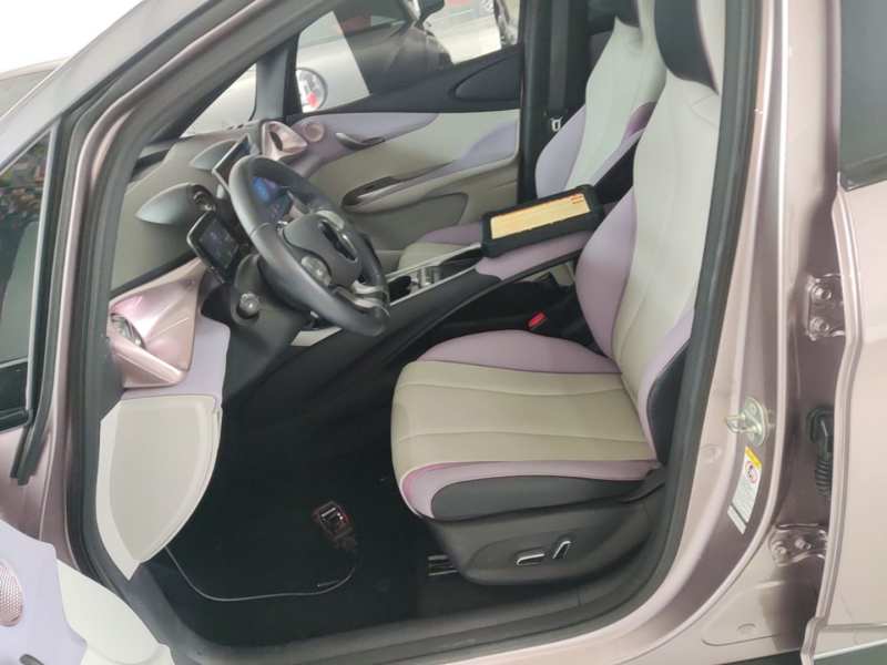 Used BYD Dolphin 2021 401km Knight Edition — 14