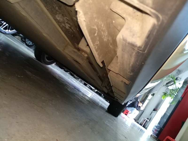 Used BYD Dolphin 2025 420km Free Edition — 20