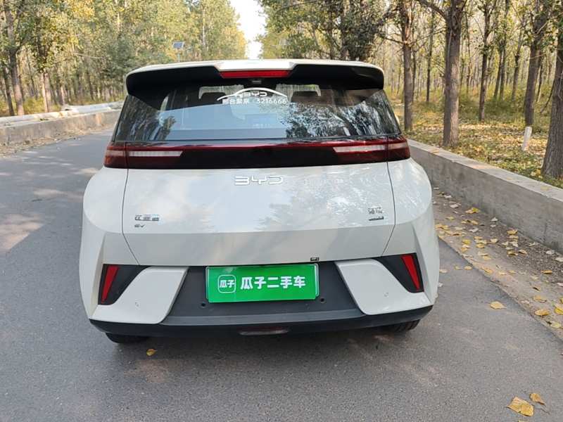 Used BYD Seagull 2025 Smart Drive Version 305 km Freedom Edition — 5